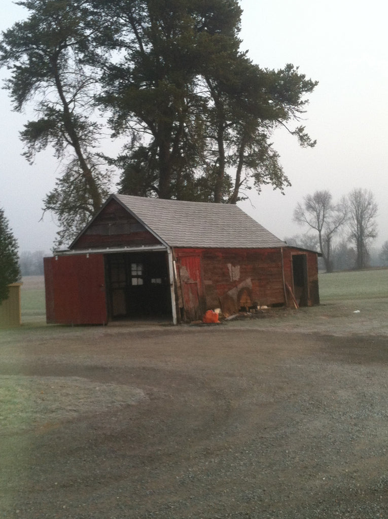 Old red Shop